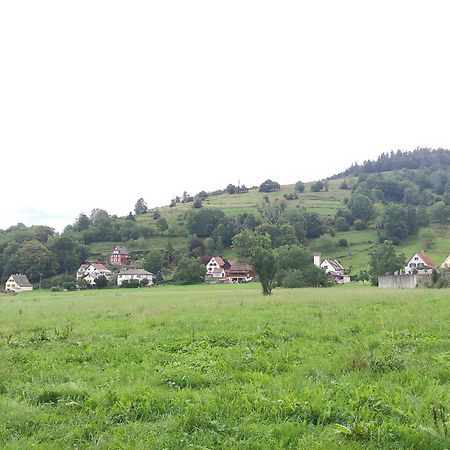 Les Studios Du Frankenthal Stosswihr Eksteriør bilde