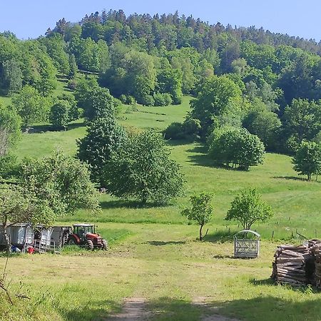 Les Studios Du Frankenthal Stosswihr Eksteriør bilde