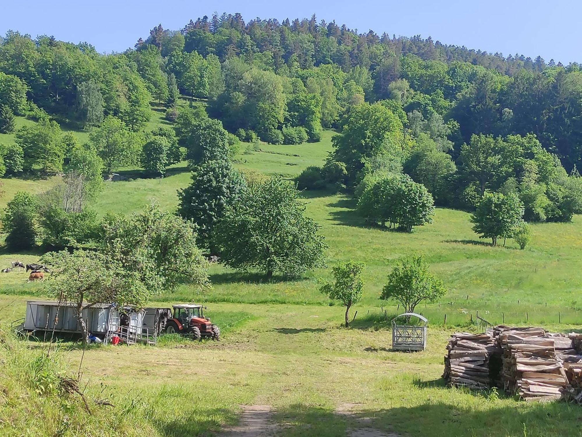 Les Studios Du Frankenthal Stosswihr Eksteriør bilde